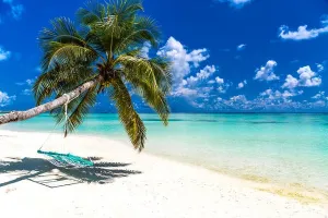 Maldives Beach Landscape Print