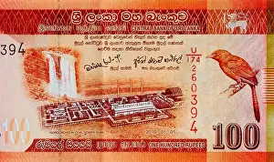 Sri Lanka 100 Rupees Bank Note Print