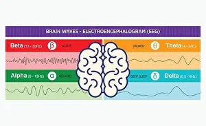 EEG Brain Waves Chart Print - Delta to Gamma Patterns