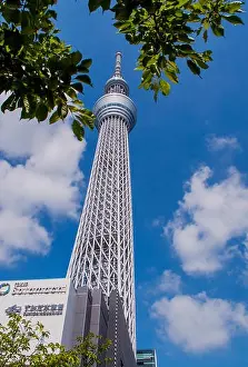 Tokyo Skytree Print