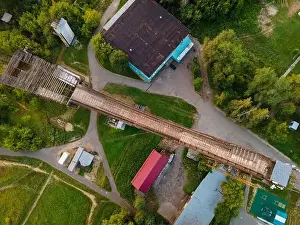Summer Springboard Print - Top View Among Trees