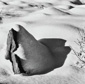 Swiss Winter Landscapes Prints: Snow