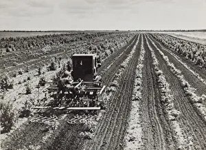 Agricultural Landscape Images Prints: Agricultural work