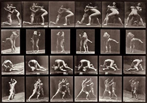 Images Dated 10th October 2017: 'Animal Locomotion' (plate 520): sequence with two naked men fighting