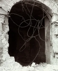 Barbed Wire Fence Prints: Barbed wire