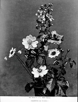 Botanical Still Life Prints: Bunch of flowers