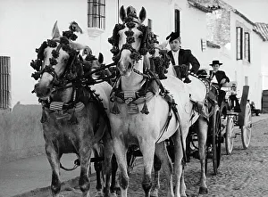 Carrige pulled by four horses