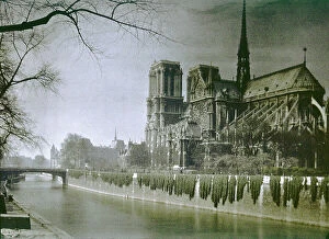 Images Dated 22nd January 2008: The cathedral of Notre-Dame, Paris