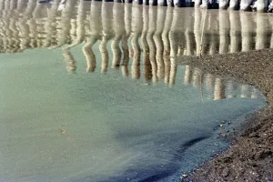 Primary Elements Of Nature Prints: Cecina Bathing