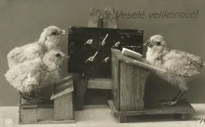Bird Communication Prints: Chicks at school
