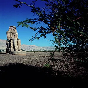 Images Dated 28th October 2011: The Colossi of Memnon guarding the city of Thebes