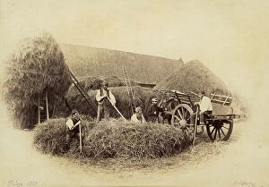 Pop art Collection: Farmers preparing bales of hay
