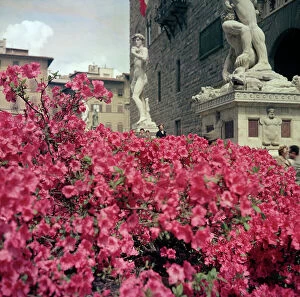 Images Dated 9th March 2015: Flower Show in Piazza della Signoria, Florence