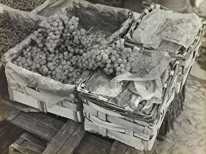 Grapes