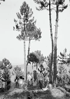 Group on an outing in the woods
