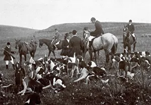 Dog Breeds For Hunting Prints: Hunting on pause
