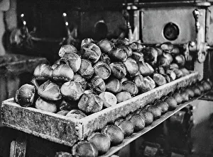 Interior of a bakery