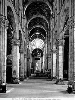 Images Dated 18th April 2012: Interior of the Cathedral of S.Martino, Lucca. The tall central nave