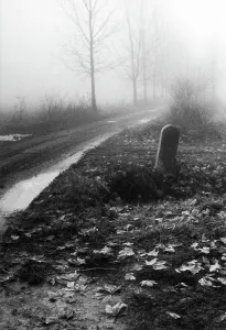 Landscape in the Mist
