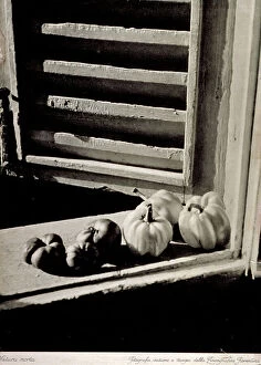 And Legumes Collection: Still life study: on a window sill, in the foreground, tomatoes and peppers have been arranged
