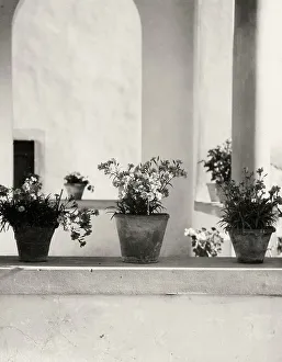 Balcony Flower Arrangement Prints: The loge