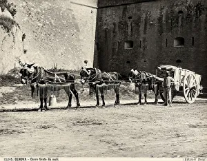 A man opposite to a waggon pull by mules
