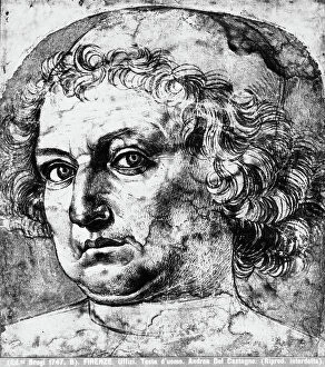 Images Dated 18th April 2007: Man's head or portrait of Andrea del Verrocchio, drawing, Andrea del Castagno (1421 ca.-1457) (attr)