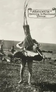 Native American Dance Prints: Native performing a dance