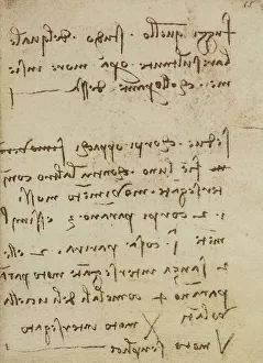 Renaissance Period Europe Prints: Notes on motion and light, writings from the Codex Forster III