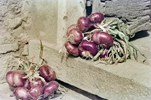 Onions