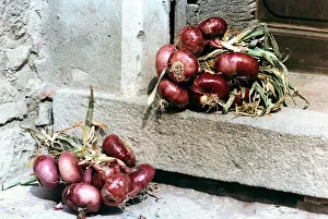 Onions