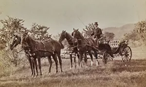 Quadriga with coachman