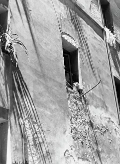 Rainy Window View Prints: Rain of shadows