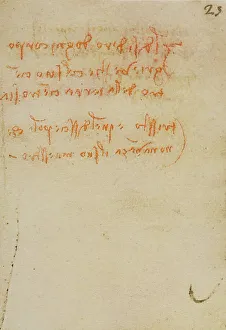 High Renaissance Artwork Prints: Reflections and notes, writings from the Codex Forster III