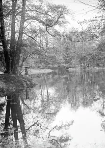 River in a forest of Hanover