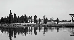 River landscape