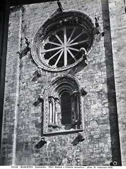 Rosette and window, detail of the faade of the Cathedral (S. Maria Maggiore), Barletta. The rose window is surrounded by shelves on which animals are perched. The window is embellished with sculptures