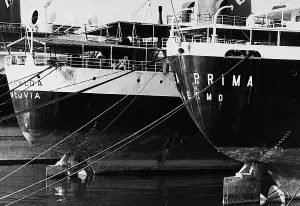 Italian Harbor Scene Prints: Ships at the dock