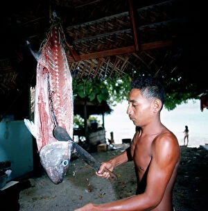 Images Dated 24th January 2012: Society Islands. Leeward Islands. Bora Bora. Tahaa. Traditional cooking. Preparation of a tamara