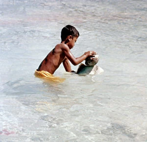 Images Dated 24th January 2012: Society Islands. Leeward Islands. Raiatea. Game fish-nail and coconuts