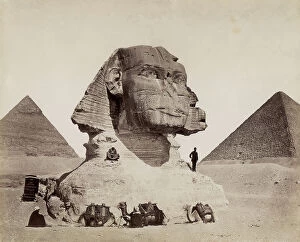 Images Dated 10th October 2017: The Sphynx of Chefren with the Pyramids of Chefren and Cheops at its sides