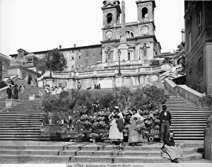Images Dated 24th January 2012: Stand of plants and flowers on the steps of Trinita dei Monti, Rome