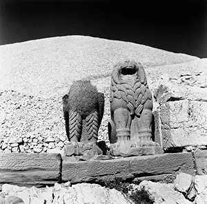 Framed Print : Statue of a lion and an eagle (missing its head), part of the remains of the Temple of Antiochus I, on the summit of Nemrut Dagi Framed Print : Statue of a lion and an eagle (missing its head), part of the remains of the Temple of Antiochus I, on the summit of Nemrut Dagi