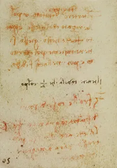 Renaissance Period Europe Prints: Studies on light, writings from the Codex Forster III