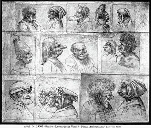 Study for caricatures. Drawing attributed to Leonardo da Vinci, preserved in the Ambrosian Library, Milan