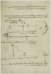 Renaissance Human Body Studies Prints: Study of physics: work of Leonardo da Vinci belonging to the Code A (2172)