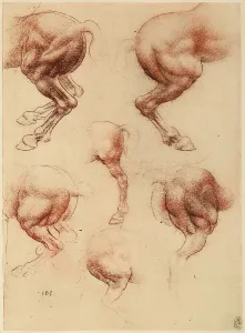 Royal Library Of Windsor Collection Prints: Study of a running horse