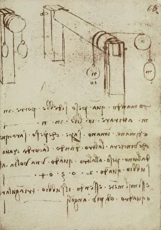 Study on weights, drawing from the Codex Forster III