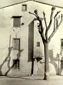Old House Facade Prints: A tree with cut branches casting a shadow on the face of an old house