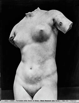 Images Dated 10th October 2017: Venus-Aphrodite anadyomne from Cirene, detail, Roman National Museum